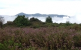 Plateau_Rungwe